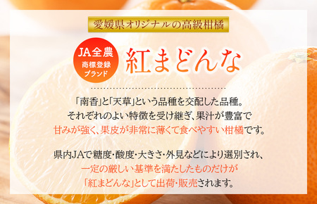 【先行予約】 紅まどんな 今治 3L～L 10～15玉 化粧箱入り