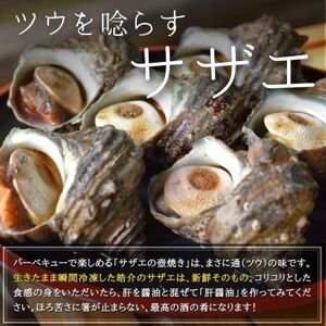 海鮮バーベキューセット 1kg(大アサリ500g＋サザエ500g) 大アサリ専用だし醤油付き あさり アサリ 浅利 サザエ さざえ 栄螺