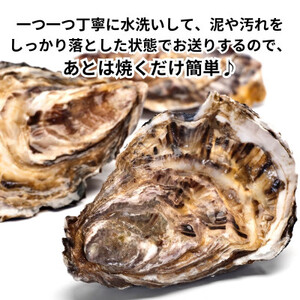 特上・篠島の殻付き真牡蠣1kgセット(生食用かき・CAS冷凍カキ)海鮮バーベキューBBQ、浜焼きに