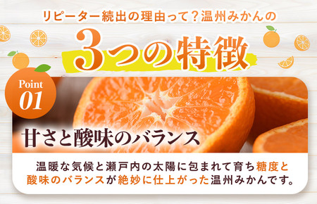 【先行予約】温州みかん 10kg【KC00760】 2026年11月下旬～12月下旬に順次発送予定 期間限定 ふるさと納税ミカン 温州ミカン 甘いみかん 愛媛みかん 果物 フルーツ ふるさと納税フルーツ 愛媛ふるさと納税 愛媛県ふるさと納税 JA