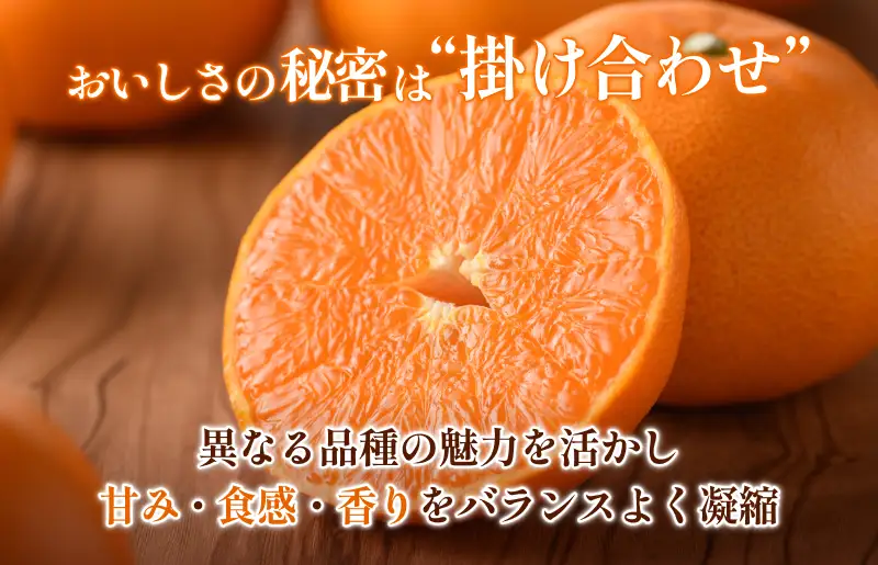 【先行予約】せとか（家庭用）レギュラー箱 約5kg【KC00770】
