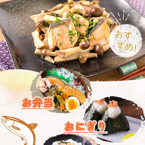 和歌山魚鶴仕込の甘口塩銀鮭切身８切（２切×４パック 小分け）  | さけ 切り身 ※着日指定不可