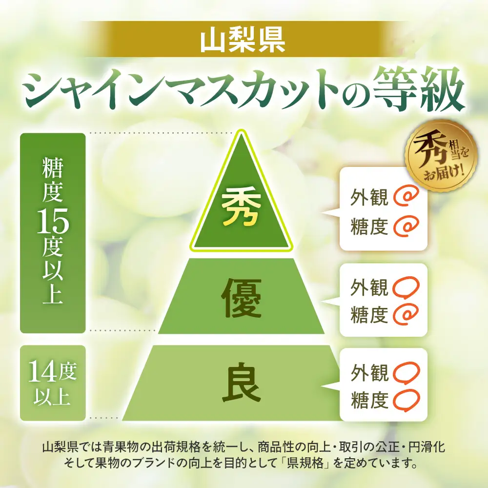 シャインマスカット 2房 1.2㎏相当 山梨シャインマスカット