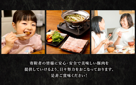 熊本県産 火の君ポークR 詰合せ 計約2kg 豚肉 肉 ブランド豚 豚こま ロース 肩ロース バラ 生姜焼き 焼肉 冷