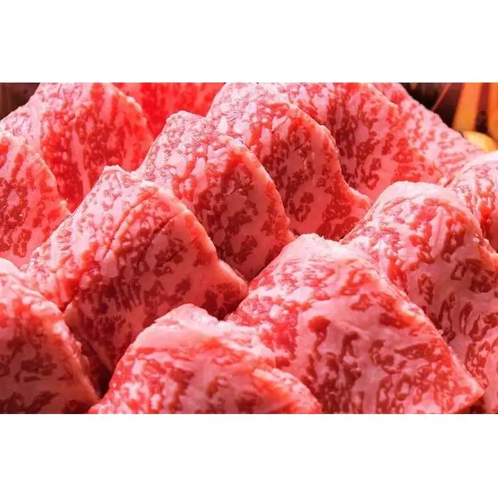 博多和牛 A4ランク以上 焼き肉用 500g | ふるさと納税 肉 厳選部位 ふるさと納税 牛肉 お肉 九州産 黒毛和牛 和牛 高級 人気 化粧箱付き ギフト プレゼント 冷凍 福岡県 福岡市 バーベキュー BBQ