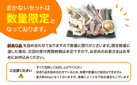【順次発送】訳あり 北海道のおさかな屋さんの まかないセット 最大4kg 海鮮 鮮魚 魚介 干物 冷凍