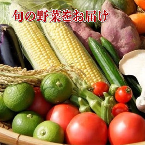 近江牛 焼肉 野菜 セット 近江牛 黒毛和牛 和牛 国産 肉 詰め合わせ タレ バーベキュー 竜王産 滋賀県 竜王町 送料無料
