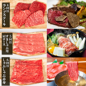 【定期便】近江牛 定期便 6回【E037】牛肉