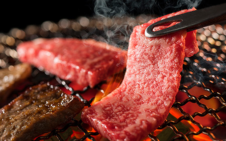 【近江牛 赤身 焼肉1kg】肉 牛肉 ブランド牛 三大和牛 和牛 黒毛和牛 国産 バーベキュー 贈り物 ギフト プレゼント 冷凍 滋賀県 竜王