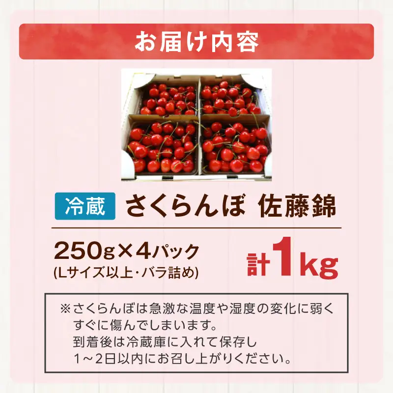 【先行予約2026年7月上旬より発送】余市の砂川果樹園が贈る もぎたて直送さくらんぼ 佐藤錦 1kg箱_Y033-0038