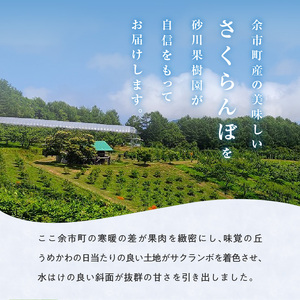 【先行予約2026年7月上旬より発送】余市の砂川果樹園が贈る もぎたて直送さくらんぼ 佐藤錦 2kg箱_Y033-0039