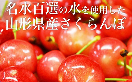 《先行予約 2026年6月中旬発送》 山形県産 さくらんぼ 紅秀峰 秀品 2L玉 700gパック 化粧箱入り FSY-2200