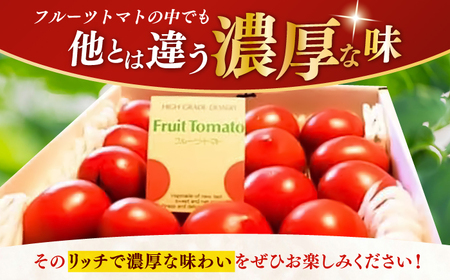 【先行予約】 高知県高知市産 贅沢フルーツトマト 約2kg 〈2027年2月初旬～5月中旬まで発送〉 / トマト とまと フルーツトマト 2kg 2キロ 野菜 果物 サラダ お弁当 デザート 【片山農園】 [ATCI001]