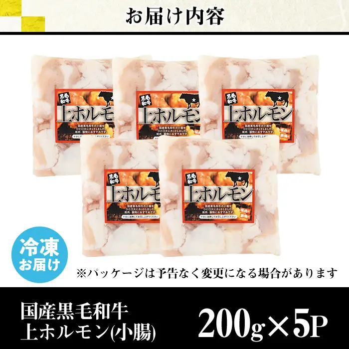 ホルモン 黒毛和牛 上ホルモン (計1kg) 【カミチク】 No.1001-02