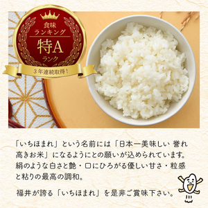 【令和7年産】 定期便 ≪2ヶ月連続お届け≫ 福井県のブランド米 いちほまれ 無洗米 10kg × 2回 計20kg 【 無洗米 人気 品種 ブランド米 特A 】 [G-6104]