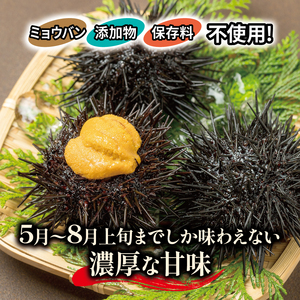 【2026年 先行予約】 生うに 150g 冷蔵 ＼ ウニ ／
