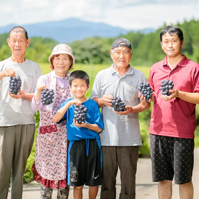 【数量限定・先行受付】久保ぶどう園のニューピオーネ約2kg(3～4房) 果汁たっぷりの美味しい大粒の葡萄 TF0273-P00005