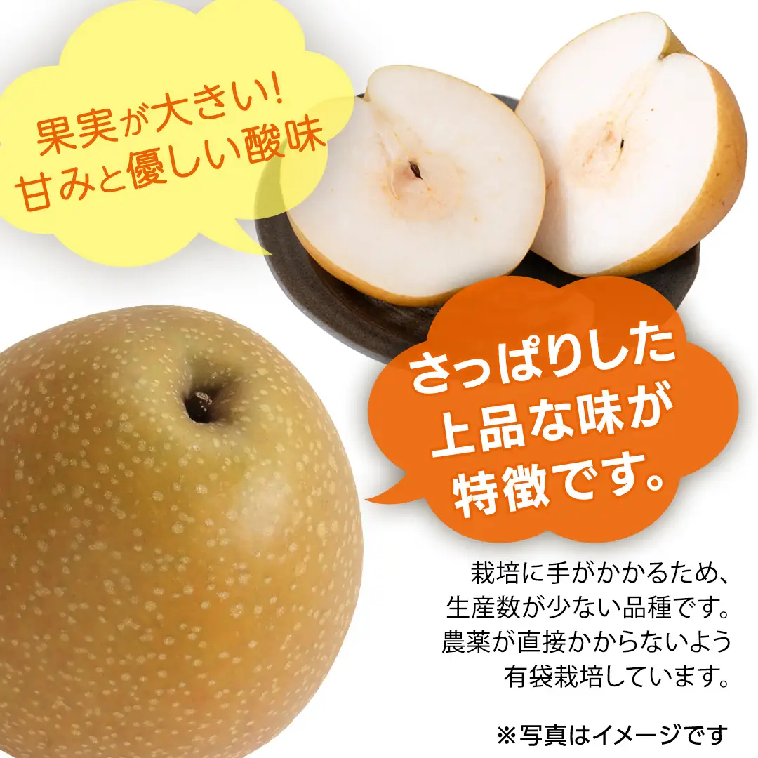 王秋梨 約3kg 4玉～6玉 (茨城県共通返礼品:城里町) 2026年 梨 なし 和梨 フルーツ 甘い お正月 クリスマス 大玉 直送 茨城 限定 [CO009sa]