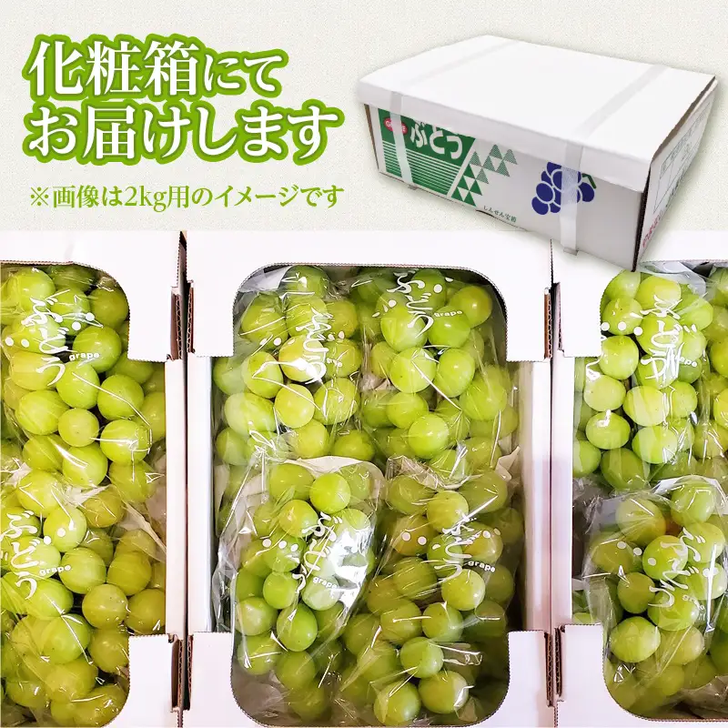 【2026年先行予約】北杜市白州 名水の里の特選シャインマスカット 約2kg(3～4房) 贈答にもおススメ [h222]
