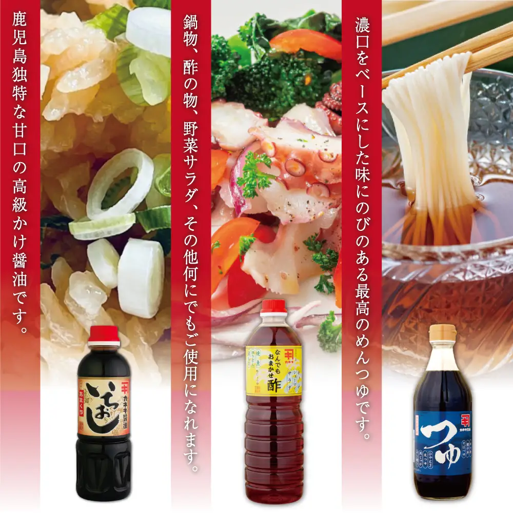 【蔵元直送】鹿児島の調味料詰合せ（5種） 醤油 甘口 だし めんつゆ 酢 味噌 煮物 天ぷら そうめん 鍋物 ギフト 贈答用 常温 南さつま市