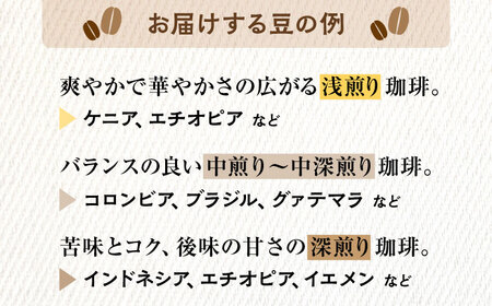 【6回定期便】 こだわりの自家焙煎 コーヒー豆 2種 計300g 多治見市 / Jikan ryoko コーヒー[TDR005]