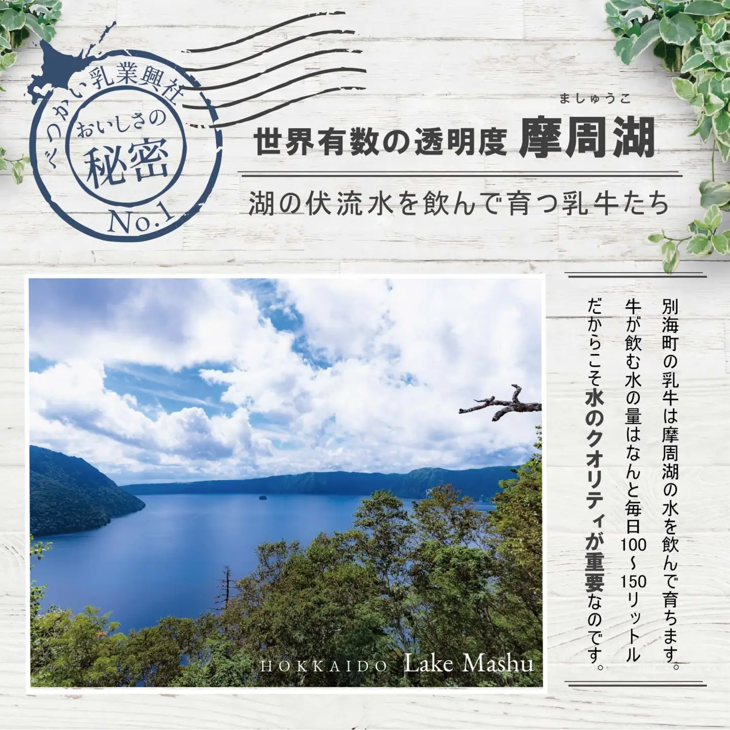 べつかいの牛乳屋さん1L 6本入 (高島屋選定品) （ 牛乳 北海道 別海町 人気 ふるさと納税 ）