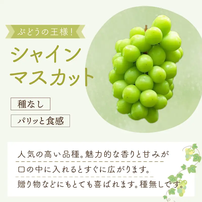 泉州ぶどう　泉州パープルとシャインマスカットのセット【065D-016】