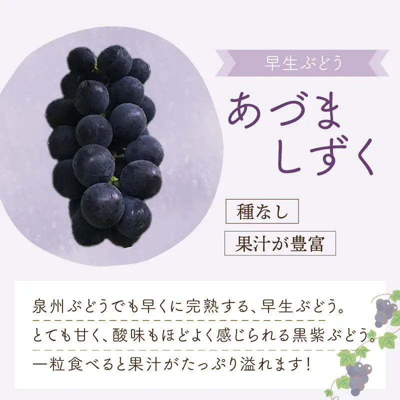 泉州ぶどう あづましずく 1房【065D-009】