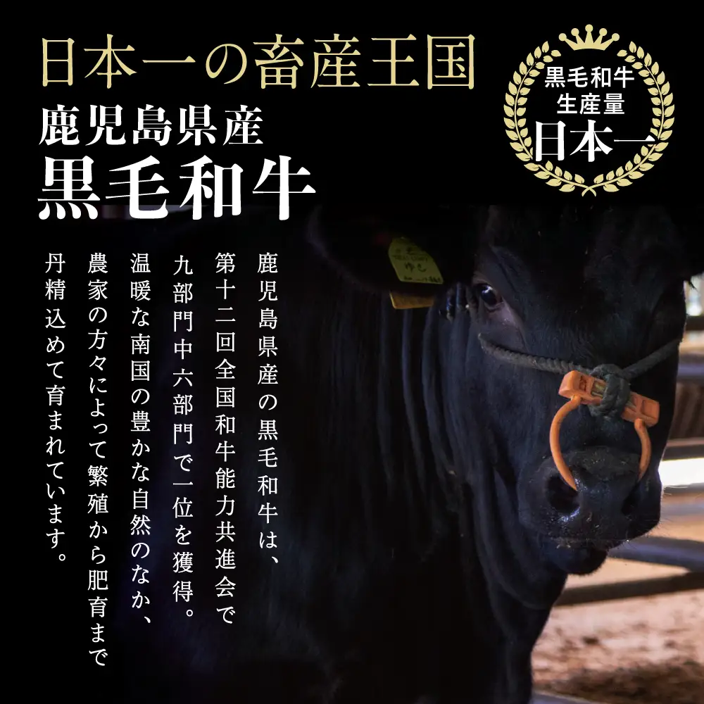 【鹿児島県産】黒毛和牛 すき焼き・しゃぶしゃぶ用 ローススライス 400g 4等級以上 冷凍 スターゼン