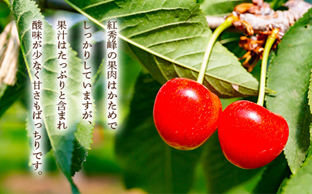 【先行予約 令和8年度発送】山形県産 さくらんぼ 紅秀峰 700g（350g×2パック） 秀品以上 L～2Lサイズ FSY-0675