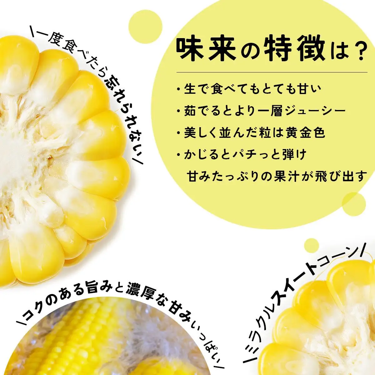 ＜先行予約＞【2026年発送】北海道産 とうもろこし 味来 L～LLサイズ 20本入り【55250823】トウモロコシ みらい ミライ とうきび スイート イエロー コーン 旬 新鮮 朝もぎ 農作物 甘い お取り寄せ 産地直送 送料無料