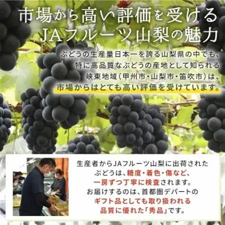 ハウス種なし巨峰(3～4房)/80【配送不可地域：離島】【1299400】