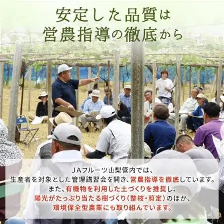 シャインマスカット(8房)【配送不可地域：離島】【1300099】