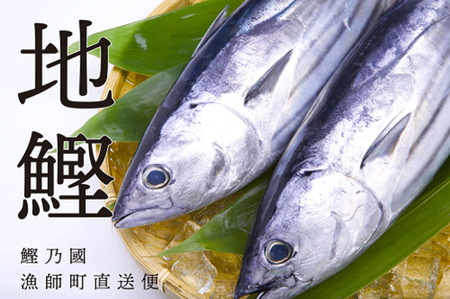 一本釣り 地鰹の藁焼きタタキ  (生) 7～8人前 冷蔵 【 高知 久礼 ど久礼もん わら焼き 薬味 タレ付き 日戻り 鰹 本場 新鮮 タタキ  かつお 】