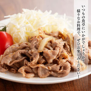 宮崎県産豚肉小野さんちの豚肉切り落とし2.5kg 豚肉