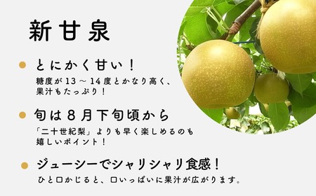 Y024 新甘泉(赤秀) 5kg
