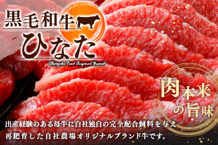 ブランド牛「黒毛和牛ひなた」バラ焼肉 500g【C413】