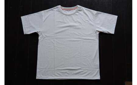 【Lサイズ】DAGO DRY Tシャツ カジュアルファッション 速乾