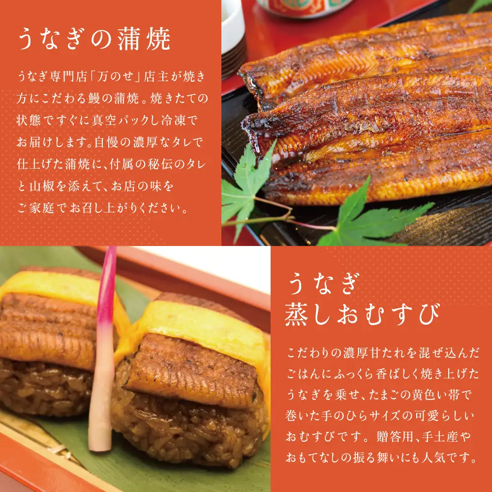 鹿児島県産 鰻 蒲焼2尾・おむすび6個 セット 詰合せ 詰め合わせ ギフト 贈答品 贈り物 手土産 御祝 お祝い 国産 鹿児島うなぎ 鰻 蒲焼き ウナギ うなぎ蒸しお結び おにぎり スタミナ 土用の丑の日 山椒 うなぎ専門店「万のせ」鹿児島県 南さつま市