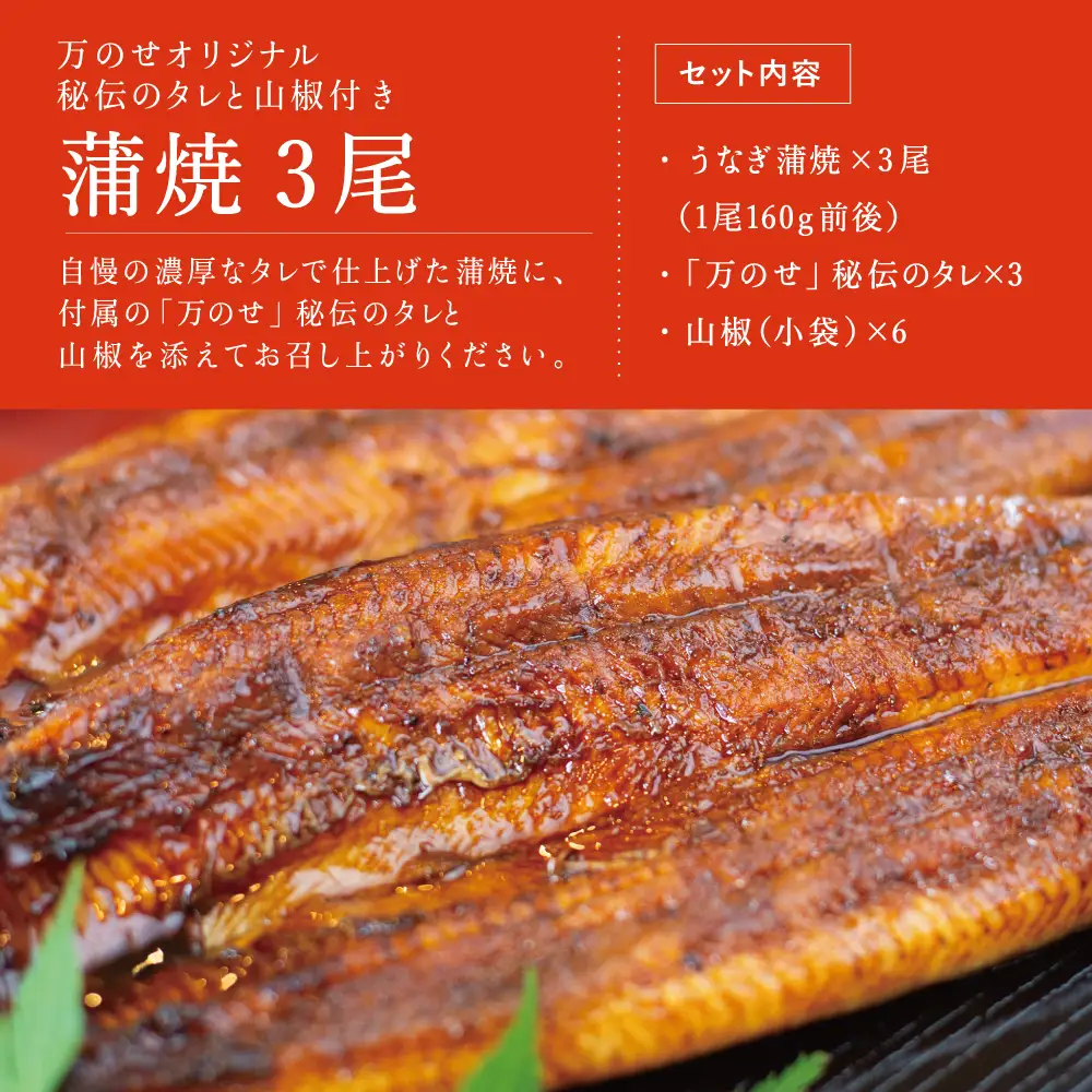 鹿児島県産 うなぎ蒲焼 3尾 セット うなぎ専門店「万のせ」ジューシー スタミナ ウナギ 鰻 蒲焼き 国産 ギフト うな重 たれ ひつまぶし 山椒 冷凍 簡単調理 贈り物 お取り寄せグルメ 冷凍 鹿児島県 南さつま市