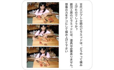 木のおもちゃ/ネコのピラミッド psc 贅沢でアートな木のパズル  知育玩具 日本製 積み木 国産 1歳 プレゼント ランキング 誕生日ギフト ブロック 手作り 雑貨 グッズ 頭の体操 脳トレ ゲーム 木製