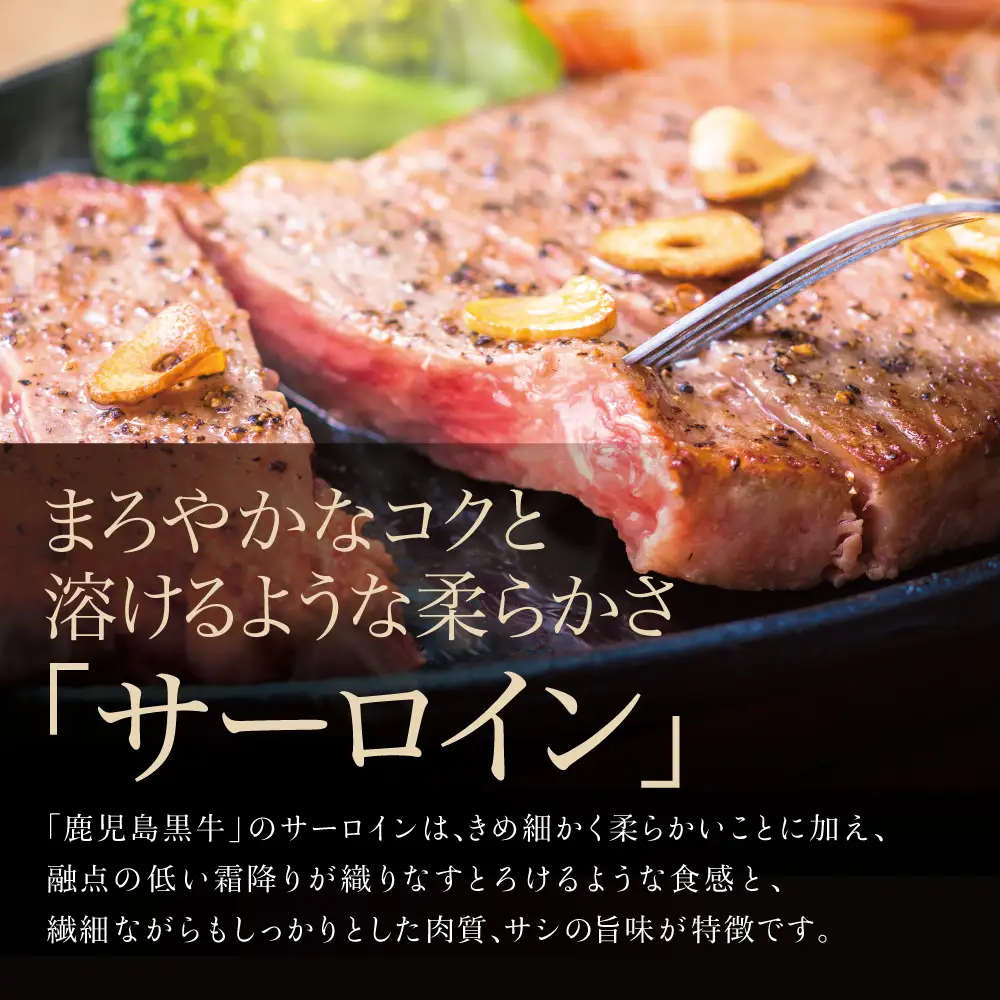 【和牛日本一】5等級 鹿児島黒牛サーロインステーキ 4枚 計800g（200g×4P） 牛肉 黒毛和牛 冷凍 バーベキュー BBQ JA食肉かごしま