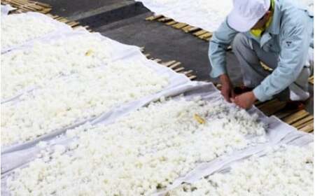 清酒『月不見の池』1800㎖ １本 毎日の晩酌に最適 新潟県 糸魚川 猪又酒造　　　