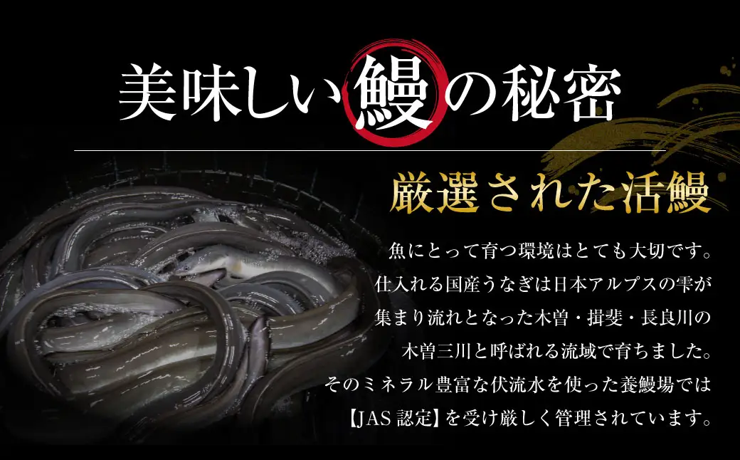王鉄興業 木曽三川うなぎ大5人前＋きざみ蒲焼 鰻 ウナギ 蒲焼 かば焼 たれ タレ 土用の丑 ひつまぶし うな重