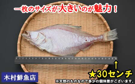 境港産一夜干しかれい（8枚）【一夜干し いちやぼし かれい カレイ エテカレイ 干物 干もの ひもの 乾物 境港 ご当地 ギフト プレゼント ご自宅用 鳥取 日吉津村】