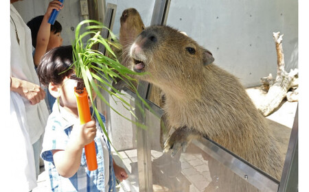 508 世界淡水魚園水族館　アクア・トトぎふ　入館券（大人2枚・小学生1枚）