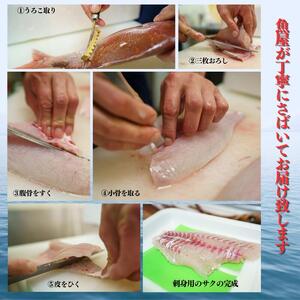 プロが選んだ！旬の鮮魚詰め合わせセット（刺身用２種と塩焼・煮付用下処理済各２匹づつ）日本海・能生漁港直送！新潟県 糸魚川 磯貝鮮魚店