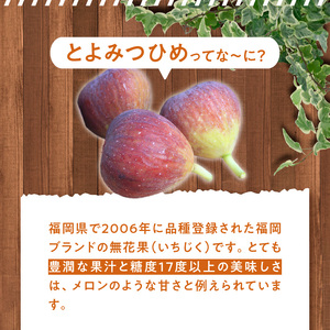 「福岡県GAP」認証！福岡県ブランドいちじく「とよみつひめ」 〔Fx008〕