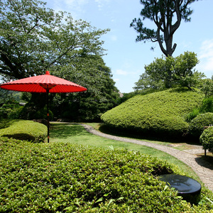 修善寺絆+　会席料理を気軽に楽しむ　本館ライト会席プラン　１頭２名様ご宿泊券（お食事時ウェルカムドリンク付き）