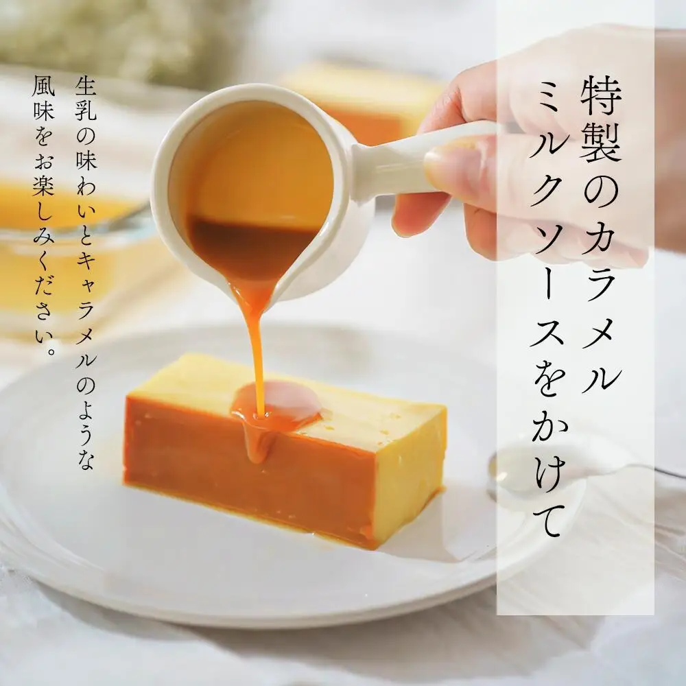 【隔月定期便】　濃厚プリン　New Pudding（ニュープディング）（500g×1本）×4回 be152-0931-200-4　（ ぷりん プリン プディング 北海道 別海町 人気 ふるさと納税 ）